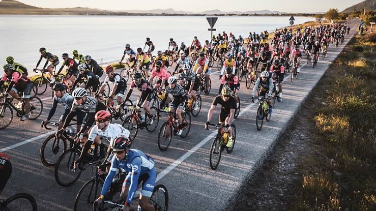 Mallorca 312