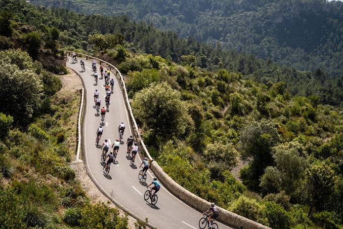 Mallorca 312