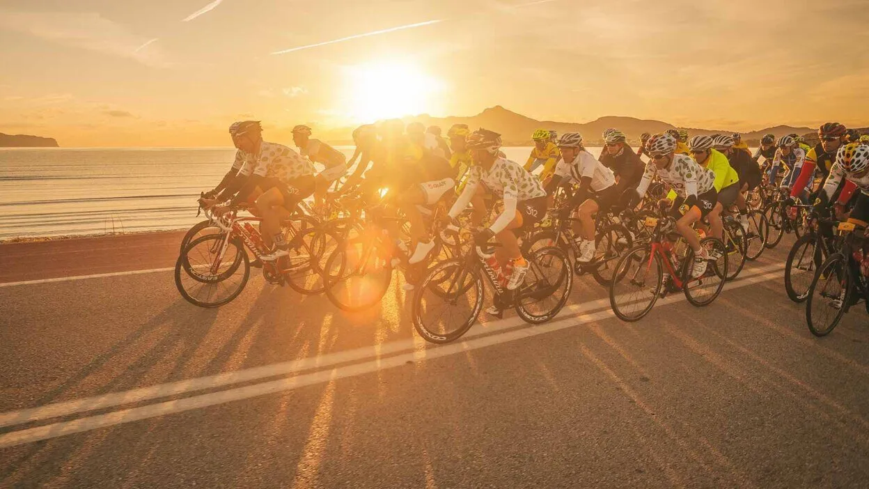 Mallorca 312